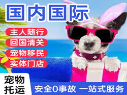 阜阳航空快运国际宠物托运 【国